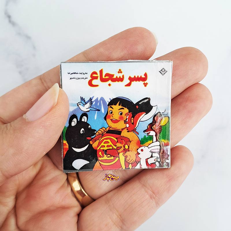 کتاب داستان مینیاتوری پسر شجاع